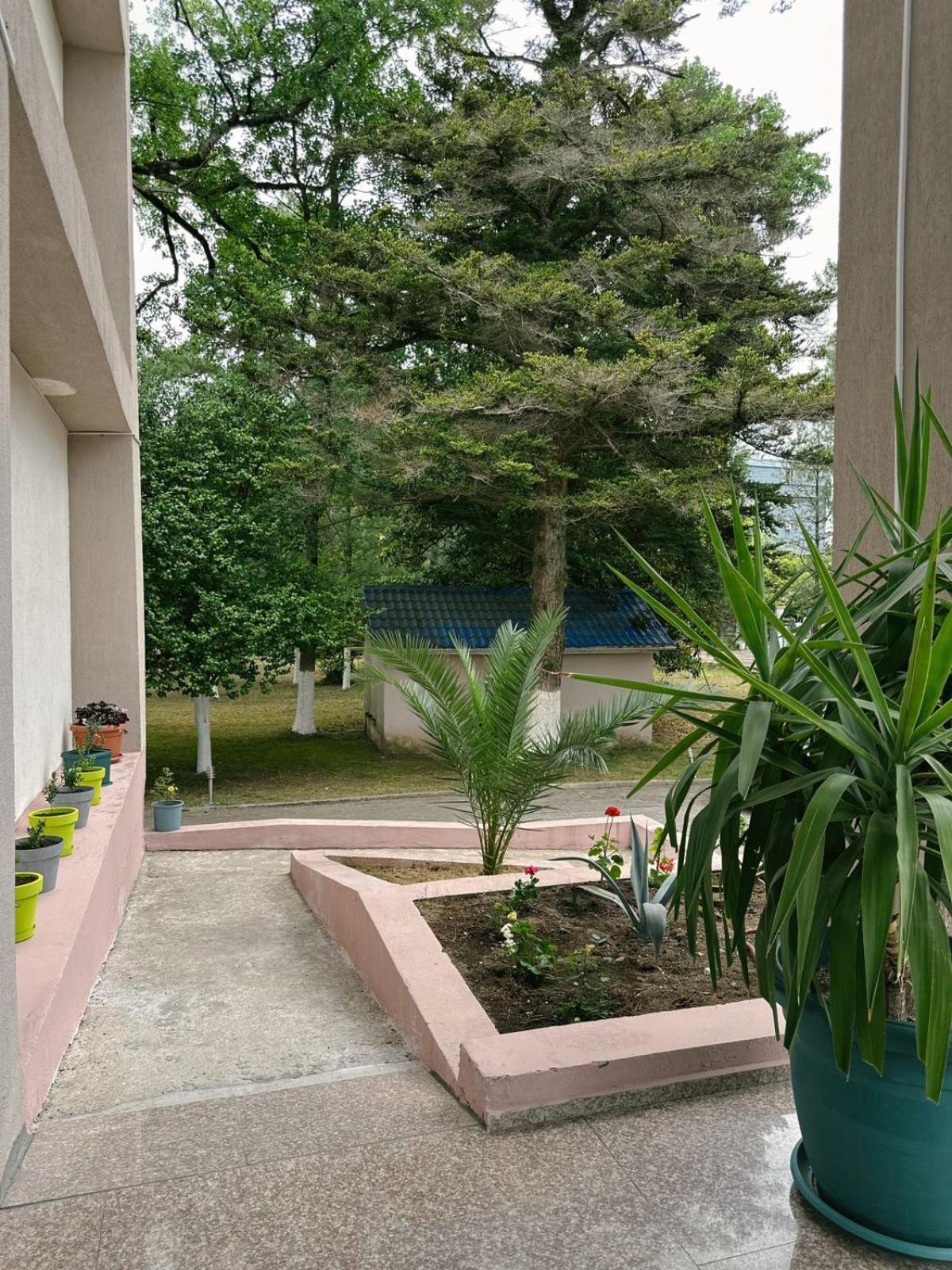 Hotel Solidarity Kobuleti Exteriér fotografie
