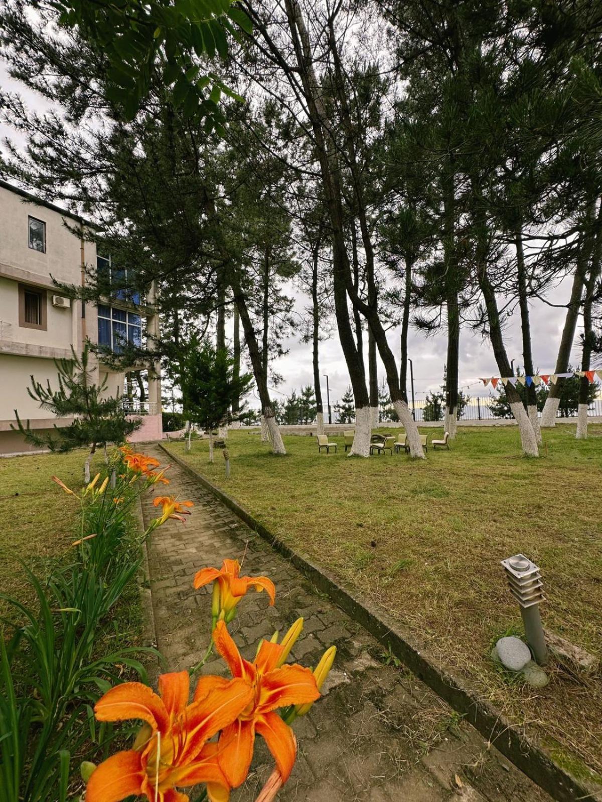 Hotel Solidarity Kobuleti Exteriér fotografie