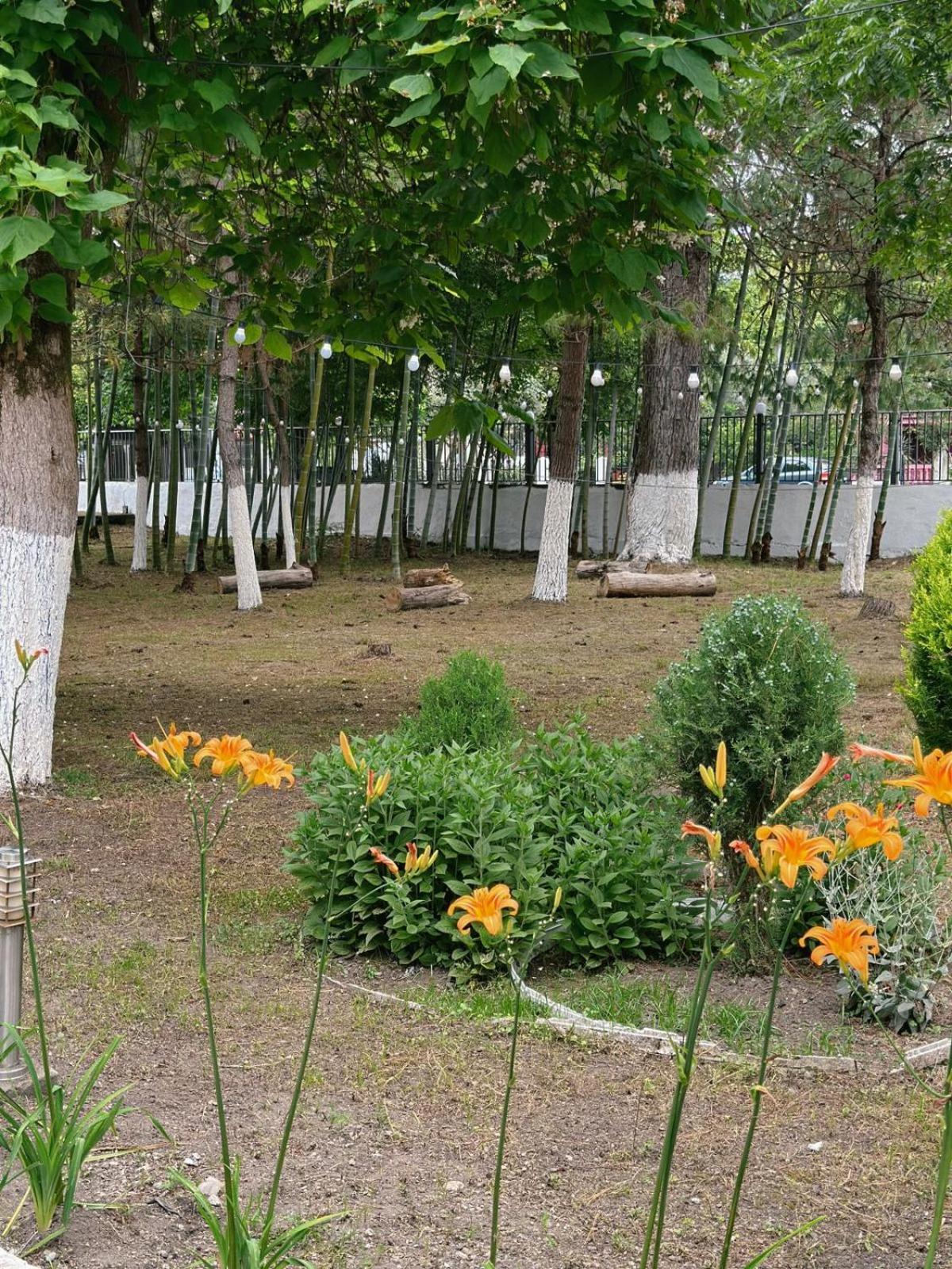 Hotel Solidarity Kobuleti Exteriér fotografie